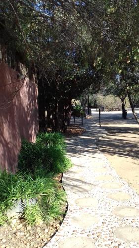 a park with trees and a sidewalk with grass at Phokoje Bush Lodge in Selebi-Pikwe