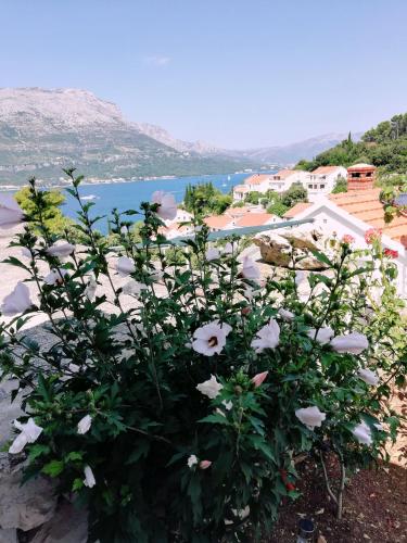 Gallery image of Amore in Korčula
