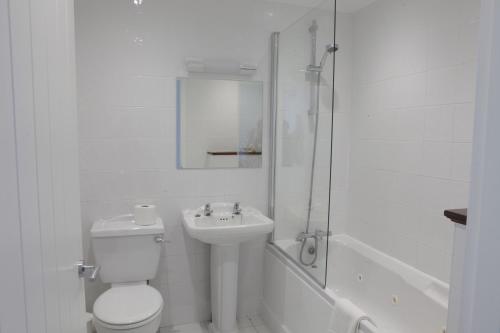 a bathroom with a toilet and a sink and a shower at Luccombe Hall Hotel in Shanklin