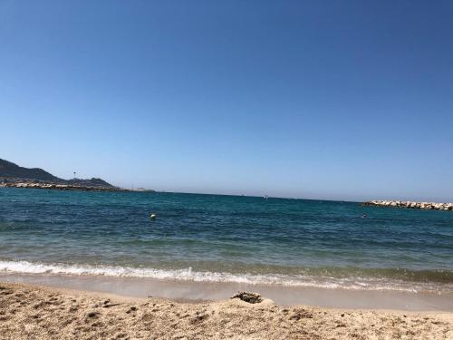 Gallery image of La palmeraie in Marseille