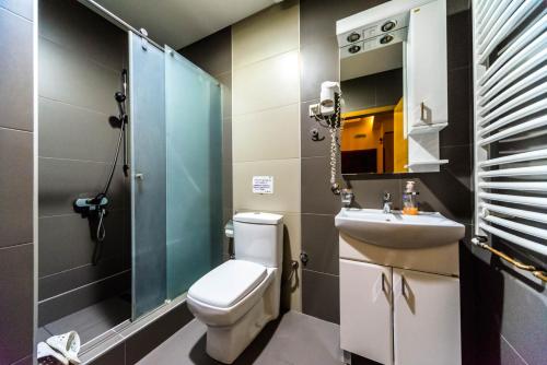 a bathroom with a toilet and a sink and a mirror at Talismano Apartments in Smederevo
