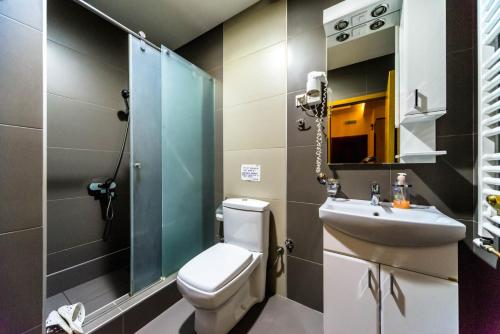 a bathroom with a toilet and a sink and a mirror at Talismano Apartments in Smederevo