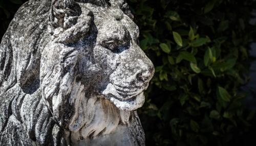 a statue of a dog looking at the camera at Goldsborough Hall in Knaresborough