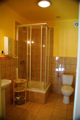 a bathroom with a shower and a toilet at Wilcza Chata in Kołczewo