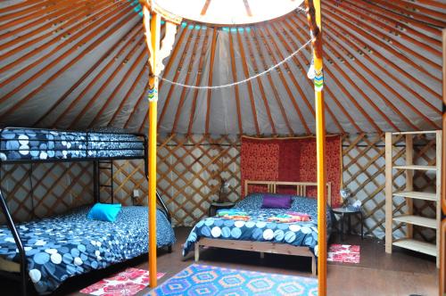 a bedroom with two beds in a yurt at Cabot Shores in Indian Brook