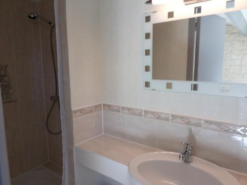 een badkamer met een wastafel, een spiegel en een douche bij La Libellule in Coulon