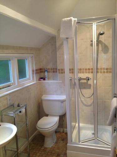 a bathroom with a toilet and a shower and a sink at Dene House Guest House in Bowness-on-Windermere