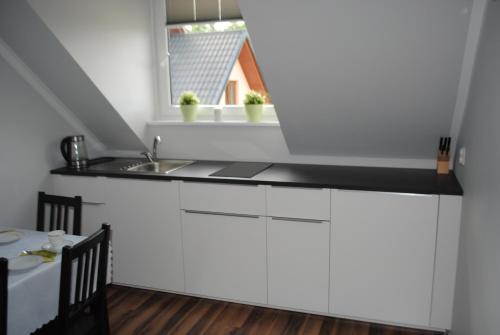 Een keuken of kitchenette bij Apartament Nad Jeziorem Kaszuby