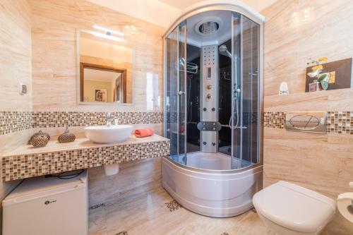 a bathroom with a shower and a toilet and a sink at WILLA RÓŻA WIATRÓW in Dziwnówek