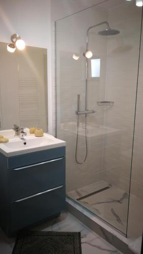 a bathroom with a shower and a sink and a shower at Pension Casa Contelui in Râşnov