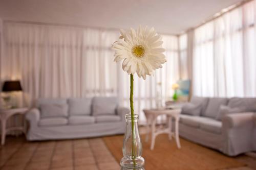 a vase with a white flower in a living room at Galaxia Boutique Hotel in Can Picafort