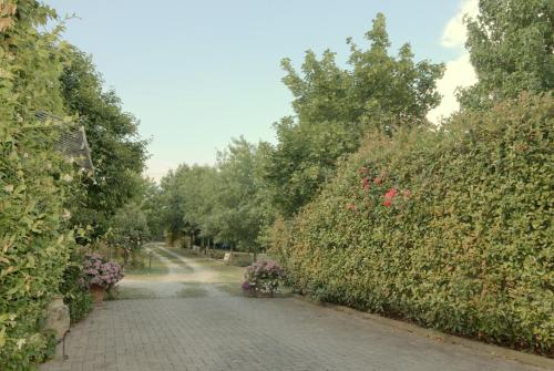 a brick road with bushes and flowers in a park at LAGO GABBIANO PODERe CASANOVA in Pistoia