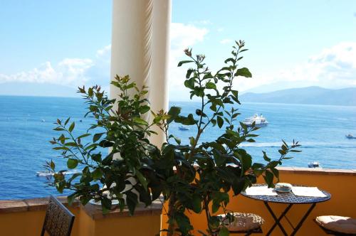 a plant on a balcony with a view of the ocean at La Terrazza sul Mare in Capri