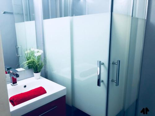 une salle de bain avec un lavabo et une douche en verre dans l'établissement Pampelonne Appartment, à La Croix-Valmer