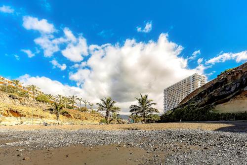 a beach with palm trees and a building at Studio Overlooking The Ocean in Playa Paraiso