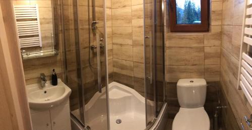 a bathroom with a shower and a toilet and a sink at Noclegi u Sabałów in Kościelisko