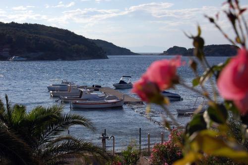a group of boats are docked in the water at Beach Villa Ema in Rab