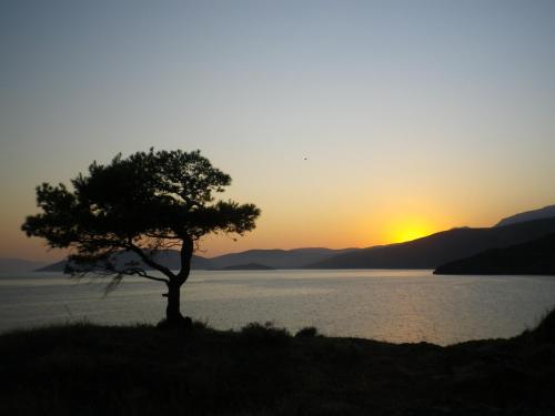 Φυσικό τοπίο κοντά σε αυτή η εξοχική κατοικία