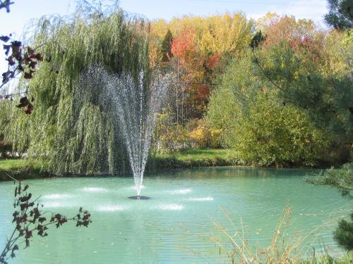 a fountain in the middle of a pond at Martha's Vineyard B & B in South Haven