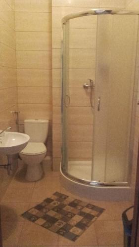 a bathroom with a shower and a toilet and a sink at Pensjonat Bahama in Skorzeszyce