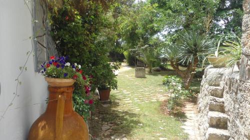 Κήπος έξω από το Il Trullo del Cadetto