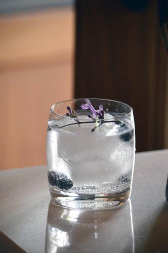 a glass of water with a purple flower in it at Hotel Casa Blanca 7 in San Miguel de Allende