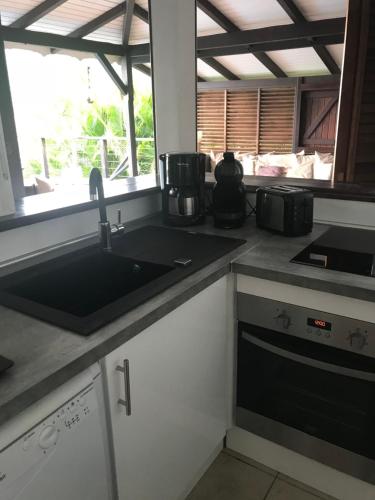 a kitchen with a sink and a counter top at Villa Pelican Lodge in Deshaies
