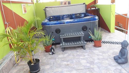 a hot tub sitting in a room with plants at La Casa Binecha avec Jacuzzi in Baillif