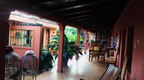 un pasillo de una casa con plantas en jaulas en La Residencia Inn, en Jinotepe