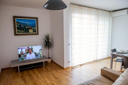 Televízia a/alebo spoločenská miestnosť v ubytovaní Apartment Lunta 2