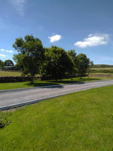 a road with green grass and trees on the side at Burren Rock Farmhouse B&B in Turlough