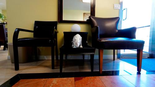 a cat sitting on a chair in a living room at El Royale Hotel - Near Universal Studios Hollywood in Los Angeles