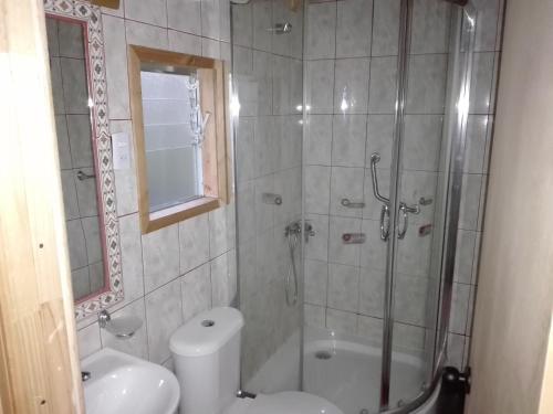 a bathroom with a shower and a toilet and a sink at Hospedaje Los Calafates in Ancud