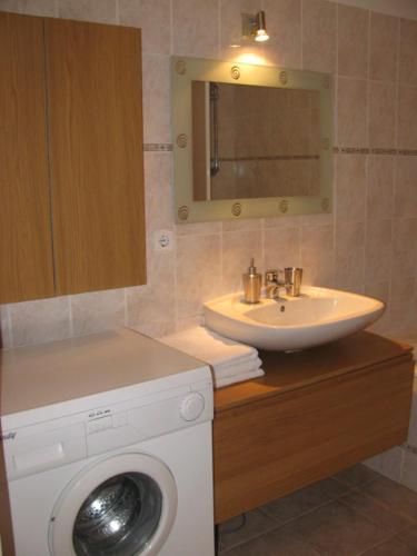 a bathroom with a washing machine and a sink at Stelius Wien in Vienna