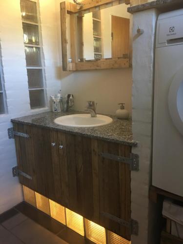 La salle de bains est pourvue d'un lavabo et d'un miroir. dans l'établissement Æbelø-guidens B&B, à Bogense