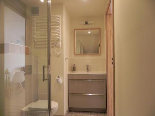 uma casa de banho com um WC, um lavatório e um chuveiro em Apartamenty Starówka em Colberga