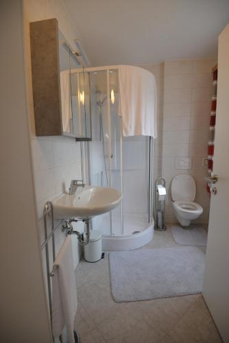 a bathroom with a sink and a shower and a toilet at PirkerHof in Wenischgraben