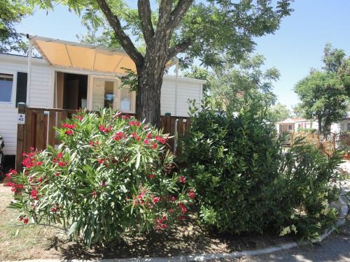 a house with pink flowers in front of a tree at Camping les Acacias in Fréjus