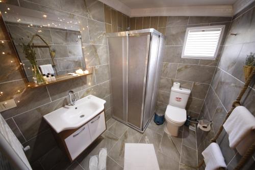 a bathroom with a shower and a sink and a toilet at Serinyer Dağ Evi in Ayder Yaylasi
