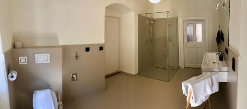 a bathroom with a shower and a sink and a mirror at Haus Franco in Bleiburg