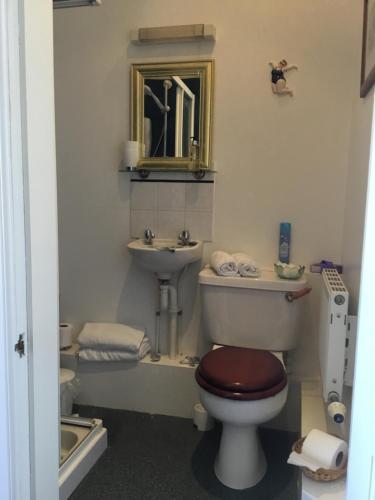 a bathroom with a toilet and a sink and a mirror at DAVAAR B&B in Dufftown