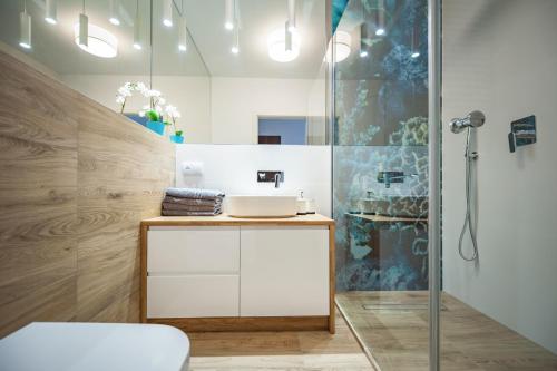W łazience znajduje się prysznic i biała umywalka. w obiekcie Unique 3City Apartments - Sea Apartment w Gdańsku