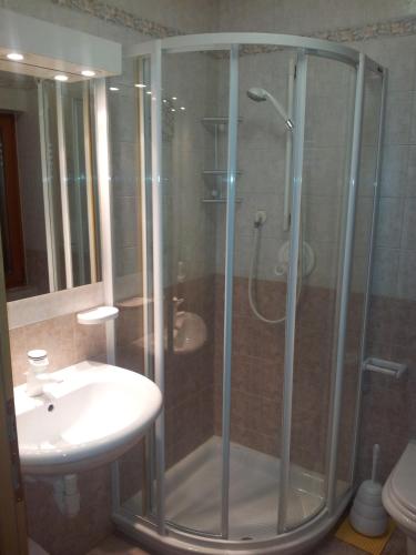 a bathroom with a shower and a sink at Chalet Belvedere in Arabba