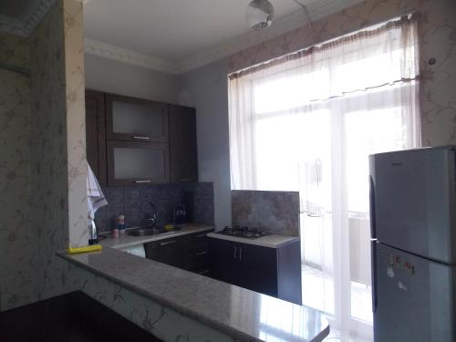 een keuken met een koelkast, een wastafel en een raam bij Kvartira na Plekhanova in Tbilisi City