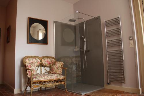 スミュール・アン・ノーソワにあるLa Fontaignotteのバスルーム(シャワー、椅子、シャワーブース付)