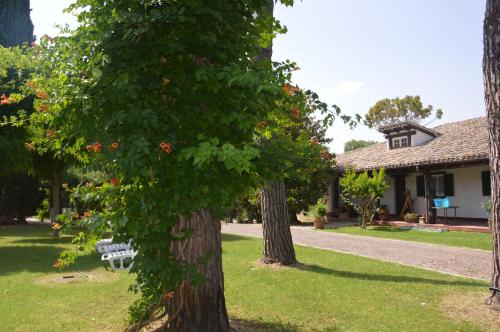 a house with two trees in a yard at B&B VILLA LUPIDI in Corridonia
