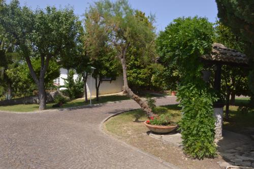 a garden with a tree and flowers in a pot at B&B VILLA LUPIDI in Corridonia