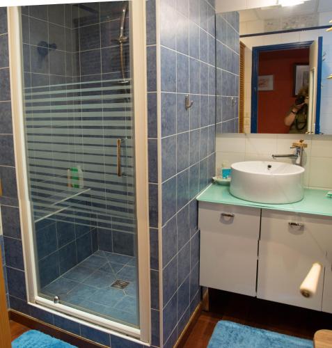 une salle de bain avec douche et lavabo dans l'établissement bayonne centre, à Bayonne