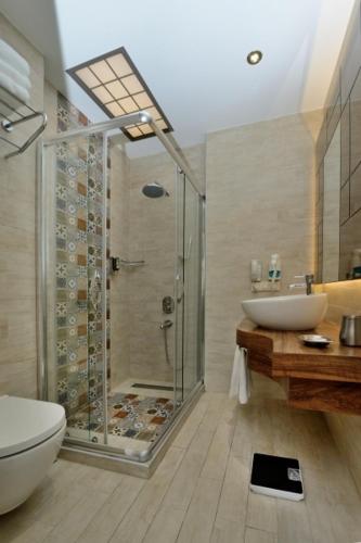 a bathroom with a shower and a toilet and a sink at Collage Pera Hotel in Istanbul