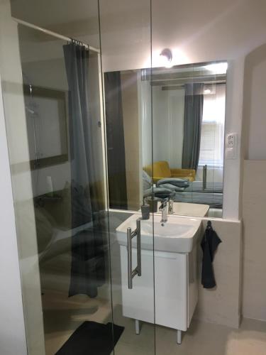 La salle de bains est pourvue d'un lavabo et d'une douche en verre. dans l'établissement Historical apartments V18, à Košice